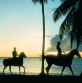 Costa Rica horseback riding